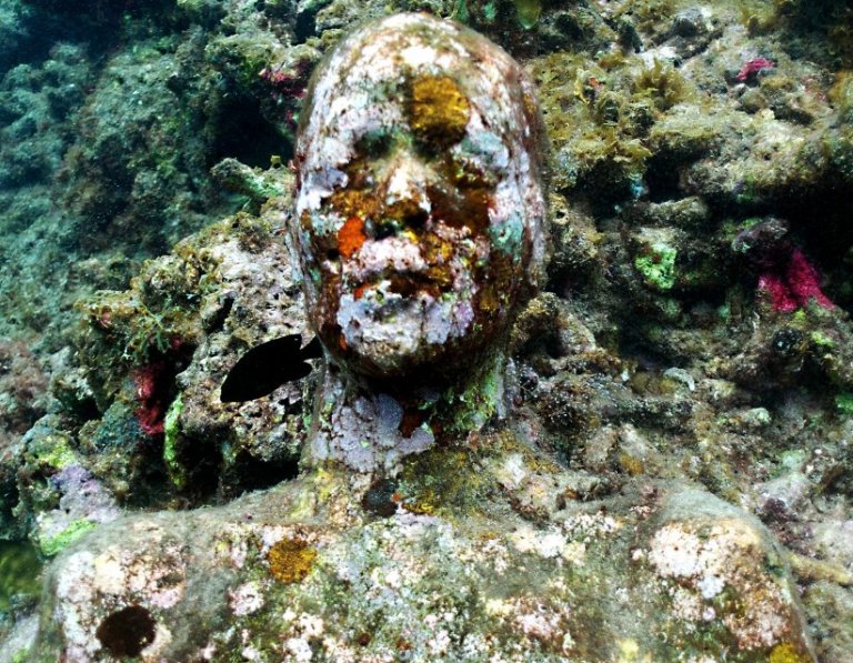 Imagen Carta de amor para salir.jpg