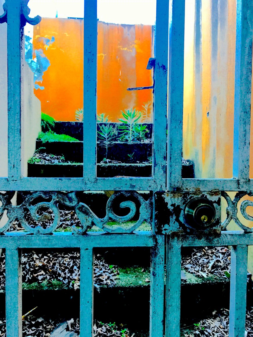 Imagen_¿Las islas siempre son otras?.JPG