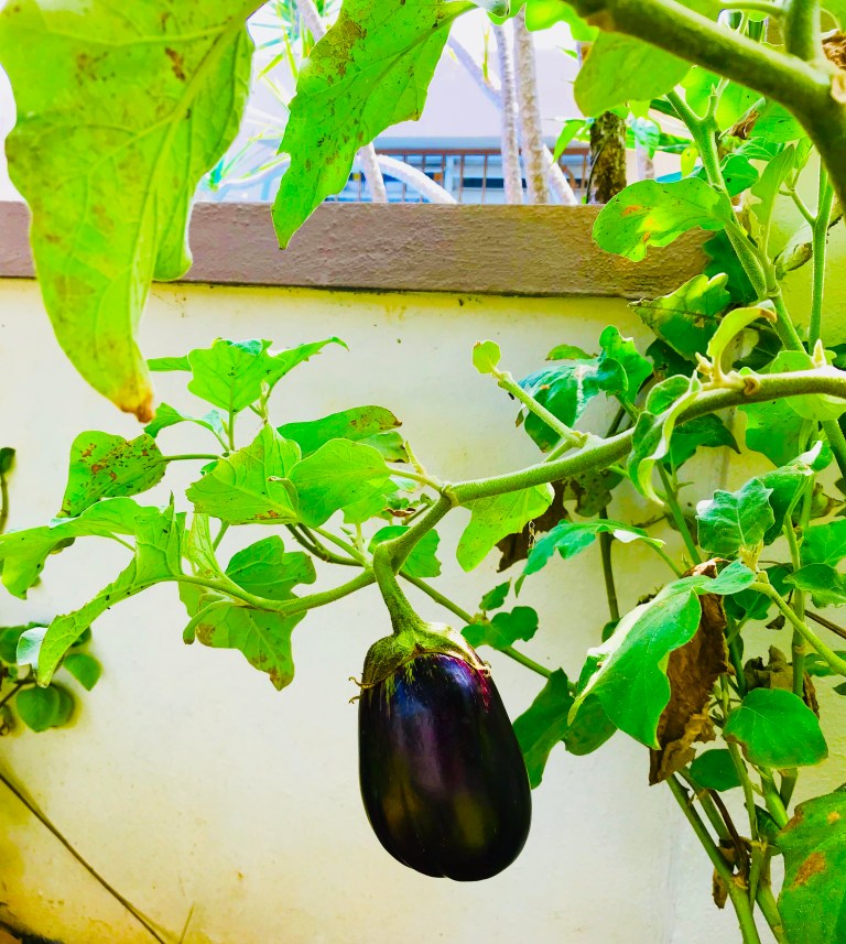 Imagen_10 clichés que valen la pena