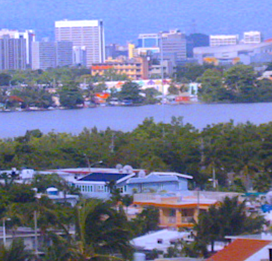 Screen Shot 2019-07-31 at 7.24.06 PM